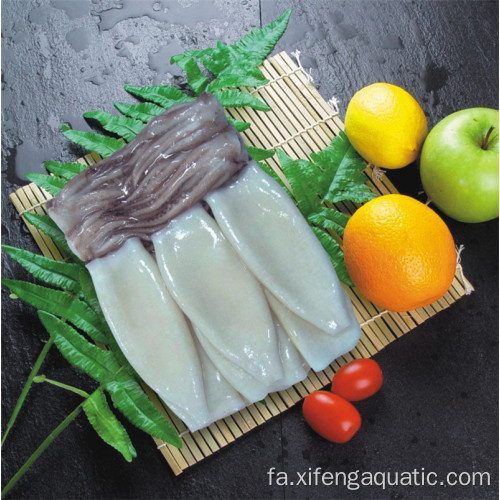 لوله و شاخک ماهی مرکب غذاهای دریایی منجمد